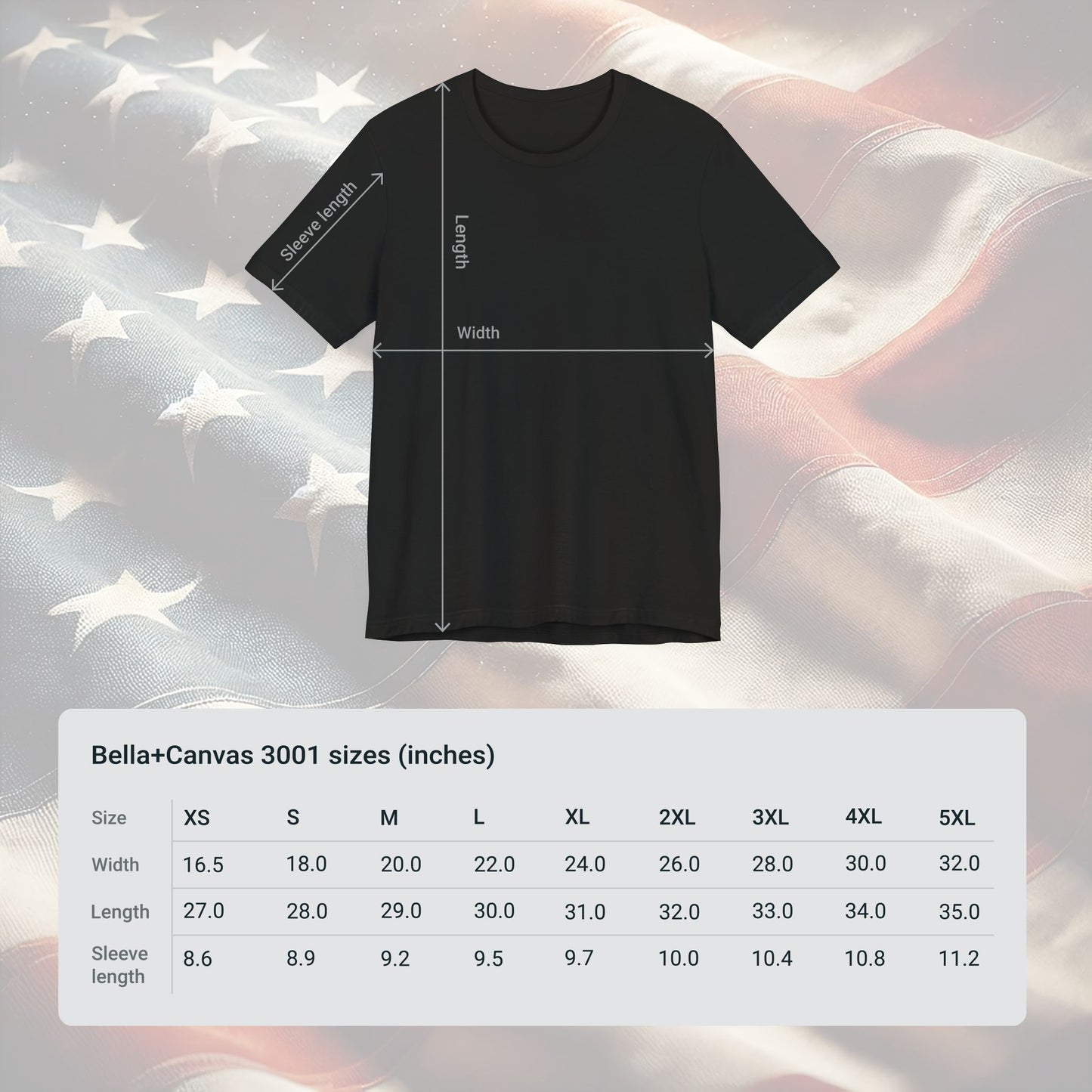 Democracy Deserves Better Unisex T-Shirt - Statue of Liberty Design, Bold Political Activism Tee, Ideal Gift for Activists, Inauguration Day